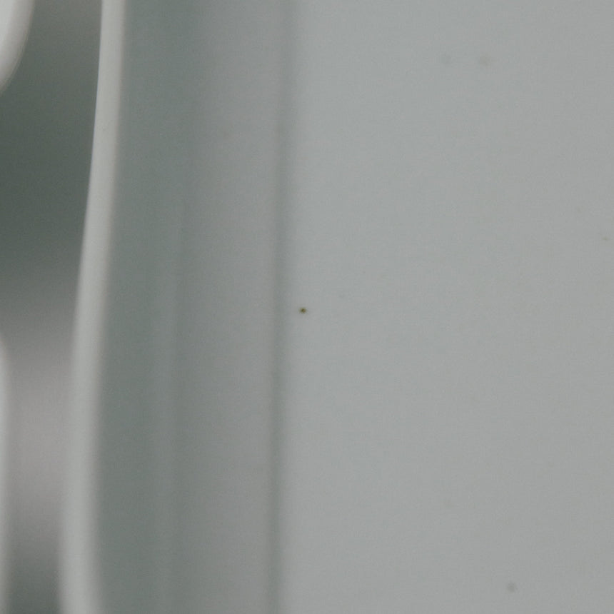 木瓜 (もっこう)角皿 土灰