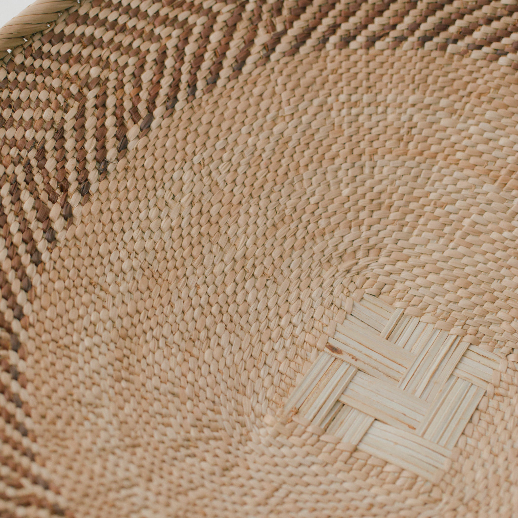 トンガサングエバスケット 特大