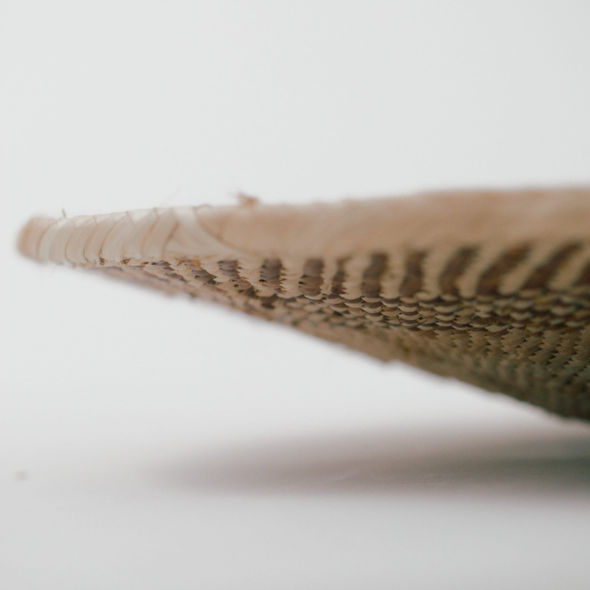 トンガサングエバスケット 特大