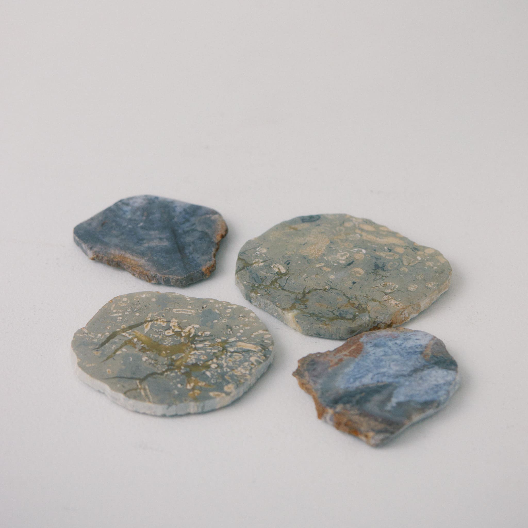 JASPER COASTER|ジャスパー コースター