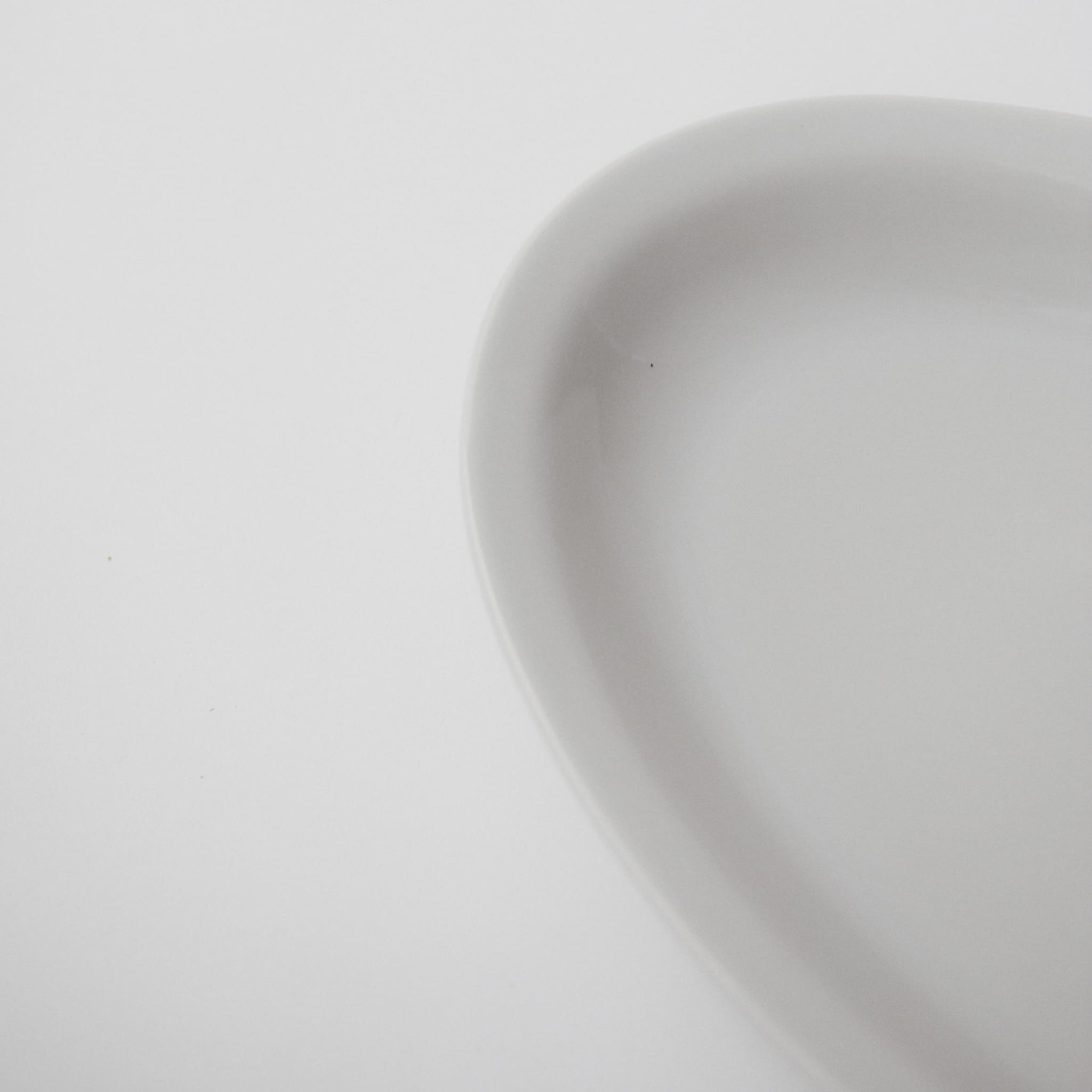 Saturnia Roma plain|サタルニア ローマ プレーン オーバルプレート