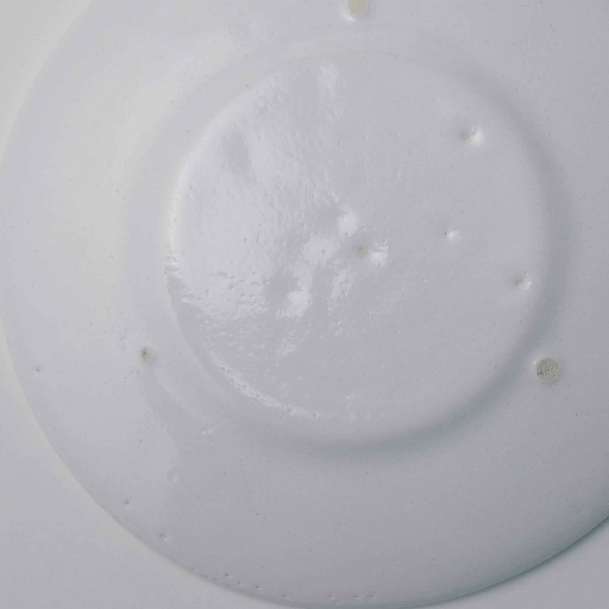 タナカシゲオ 阿蘭陀リム皿