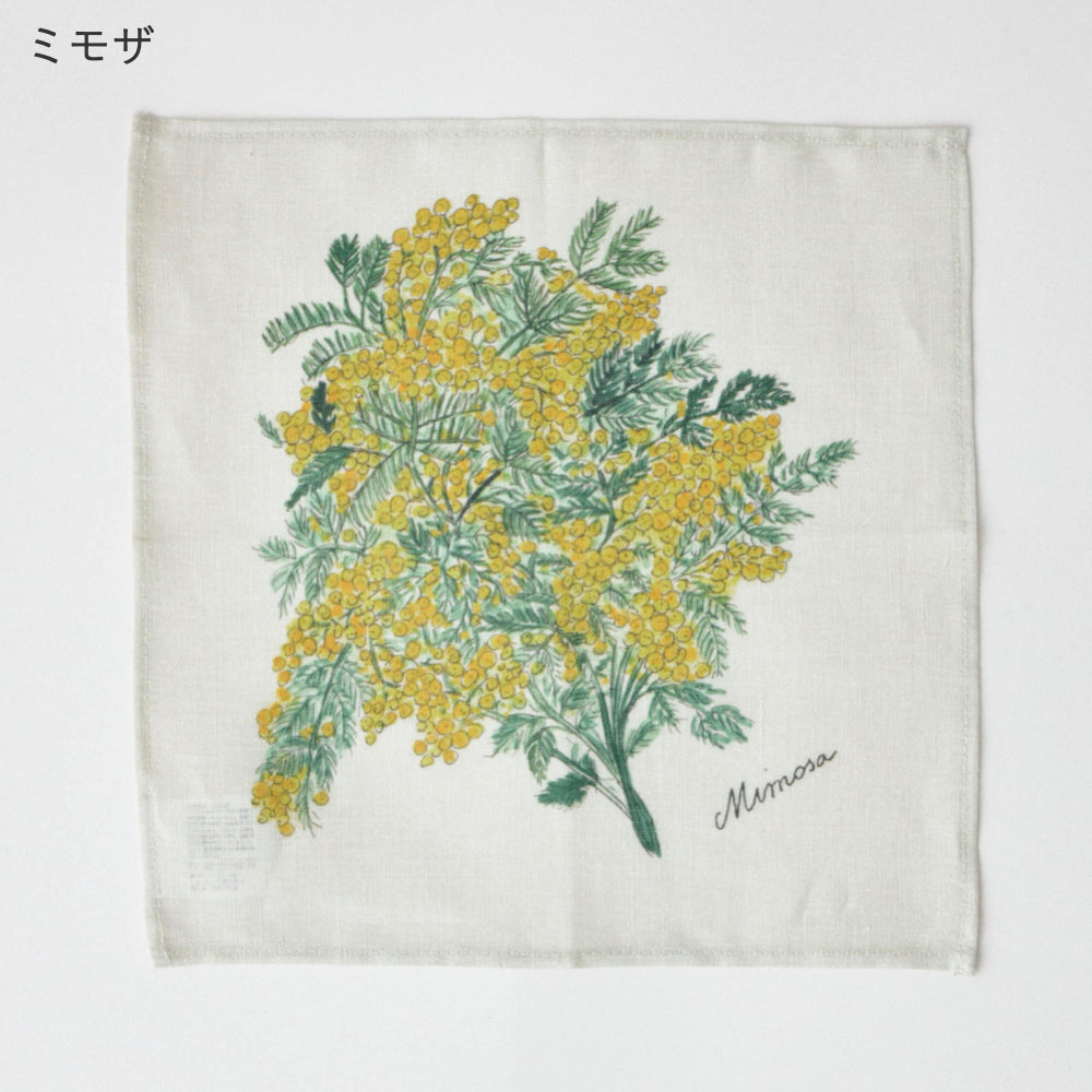 ミニハンカチ ISABELLE BOINOT