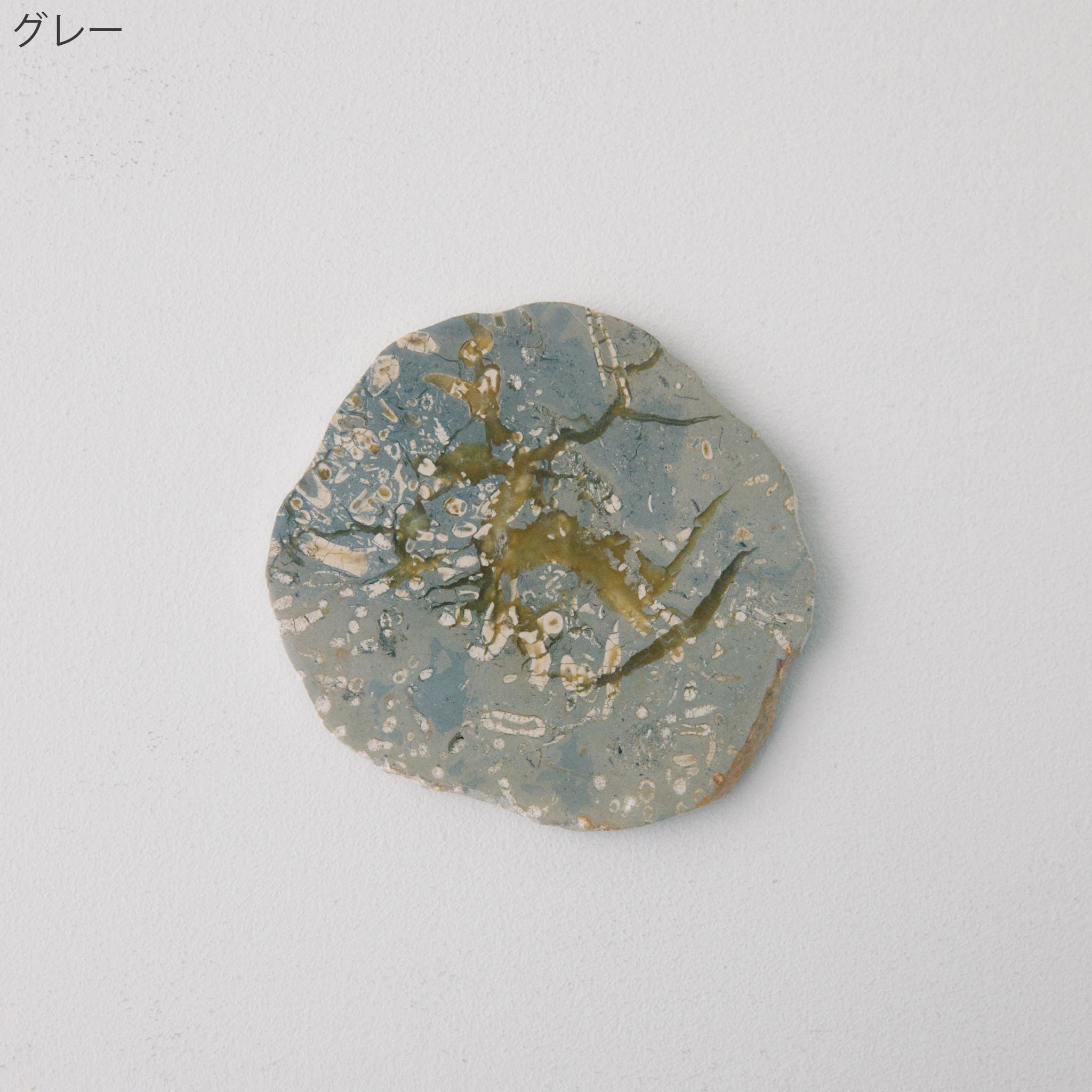 JASPER COASTER|ジャスパー コースター