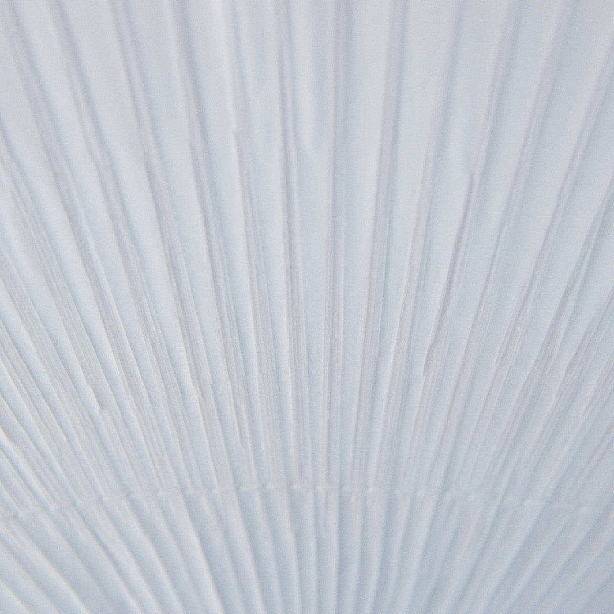 八寸竹白うちわ