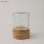 GLASS DOME|ガラスドーム