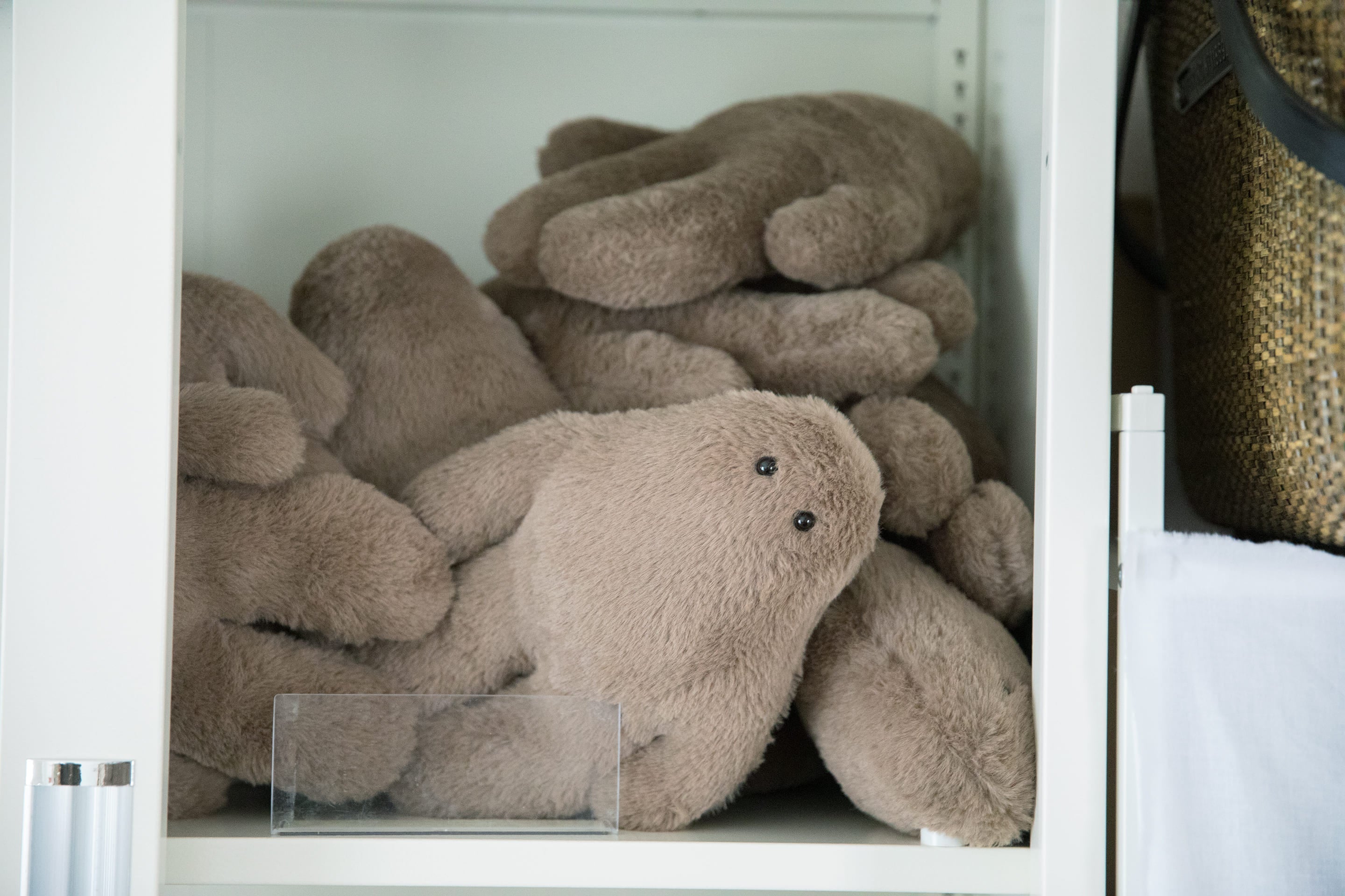 おぱんつ君物語