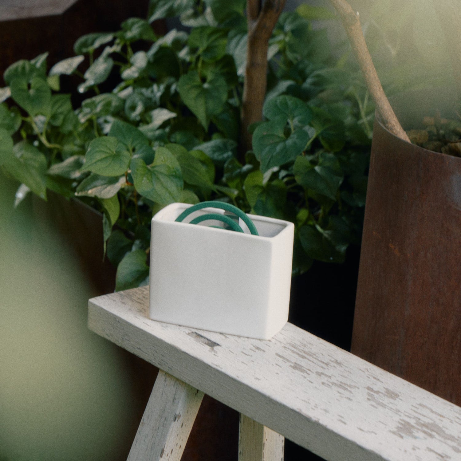 酷暑の今年は家でまったり涼もう