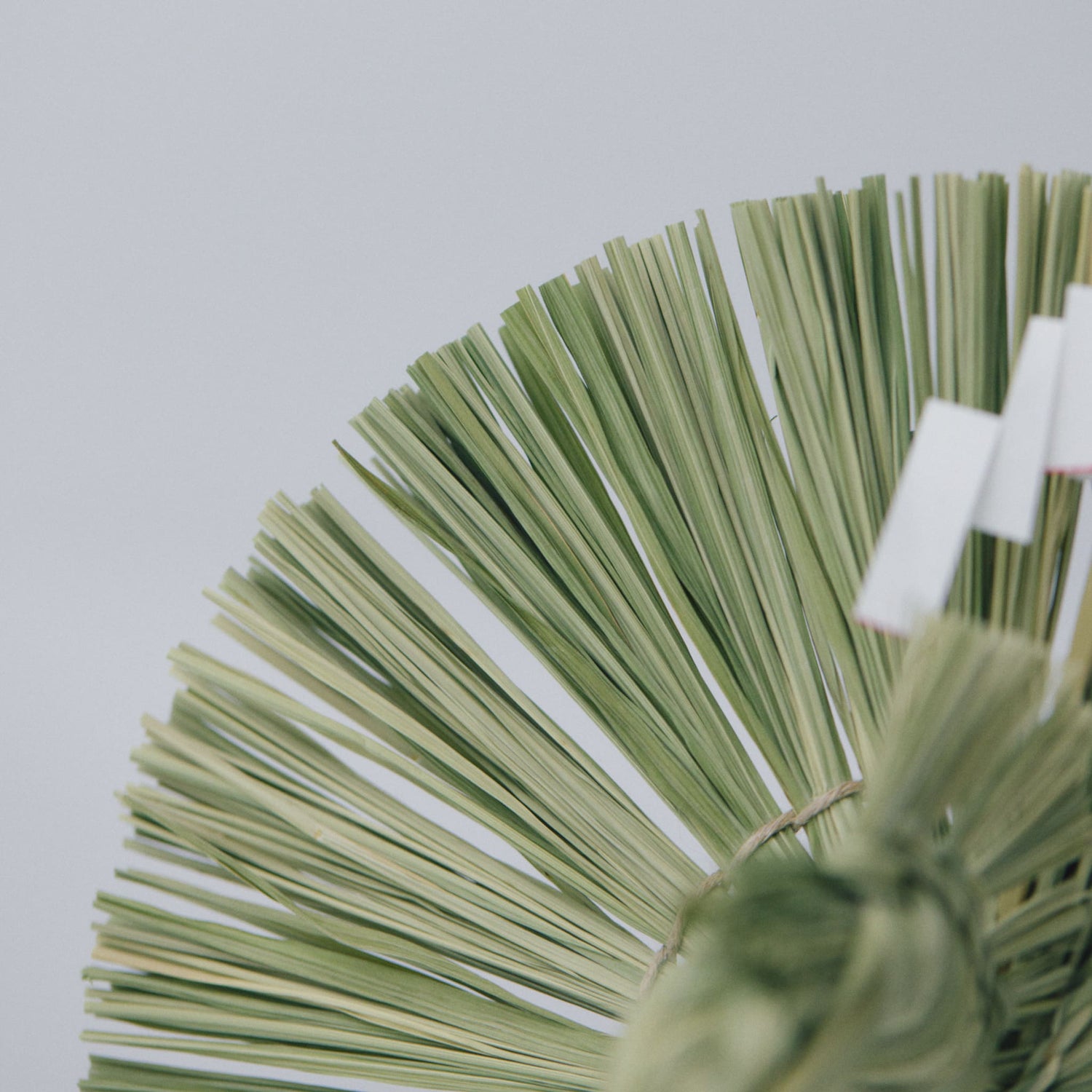 稲わら飾り【馬光扇】