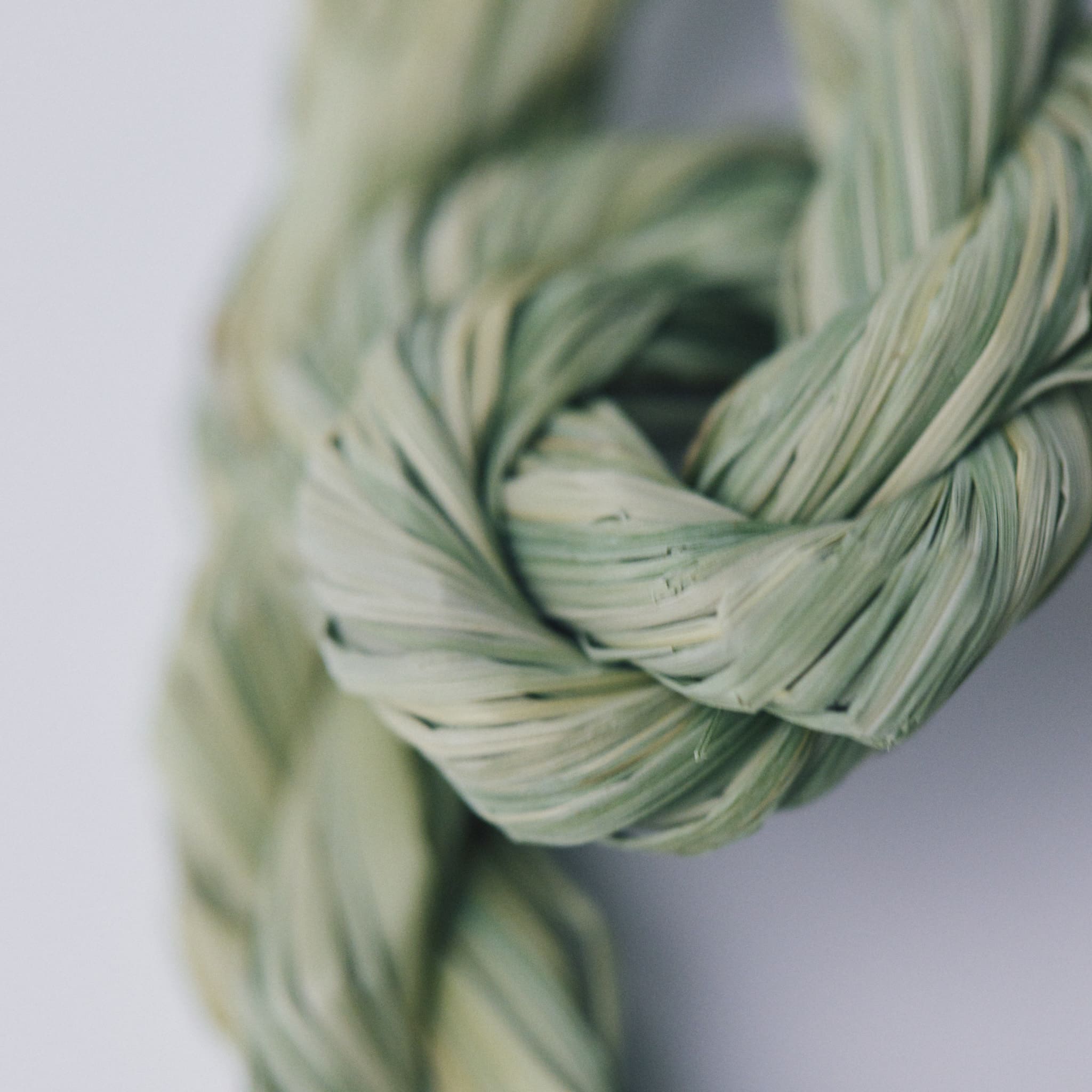 稲わら飾り【福双鯛】