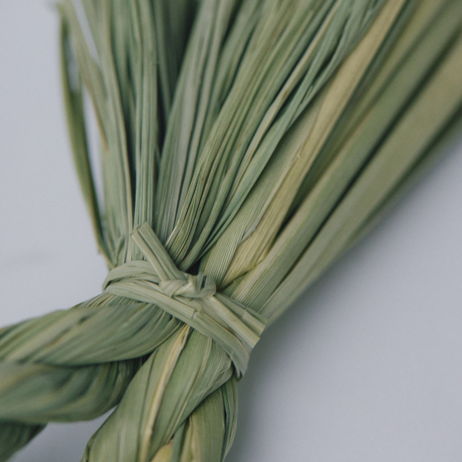 稲わら飾り【福双鯛】