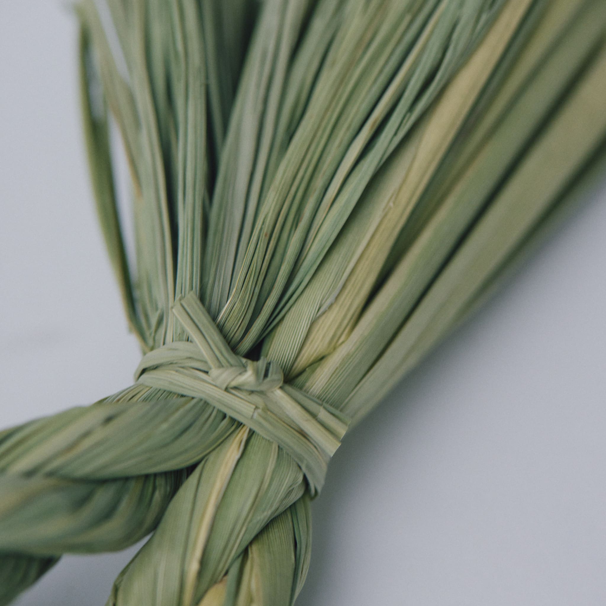 稲わら飾り【福双鯛】