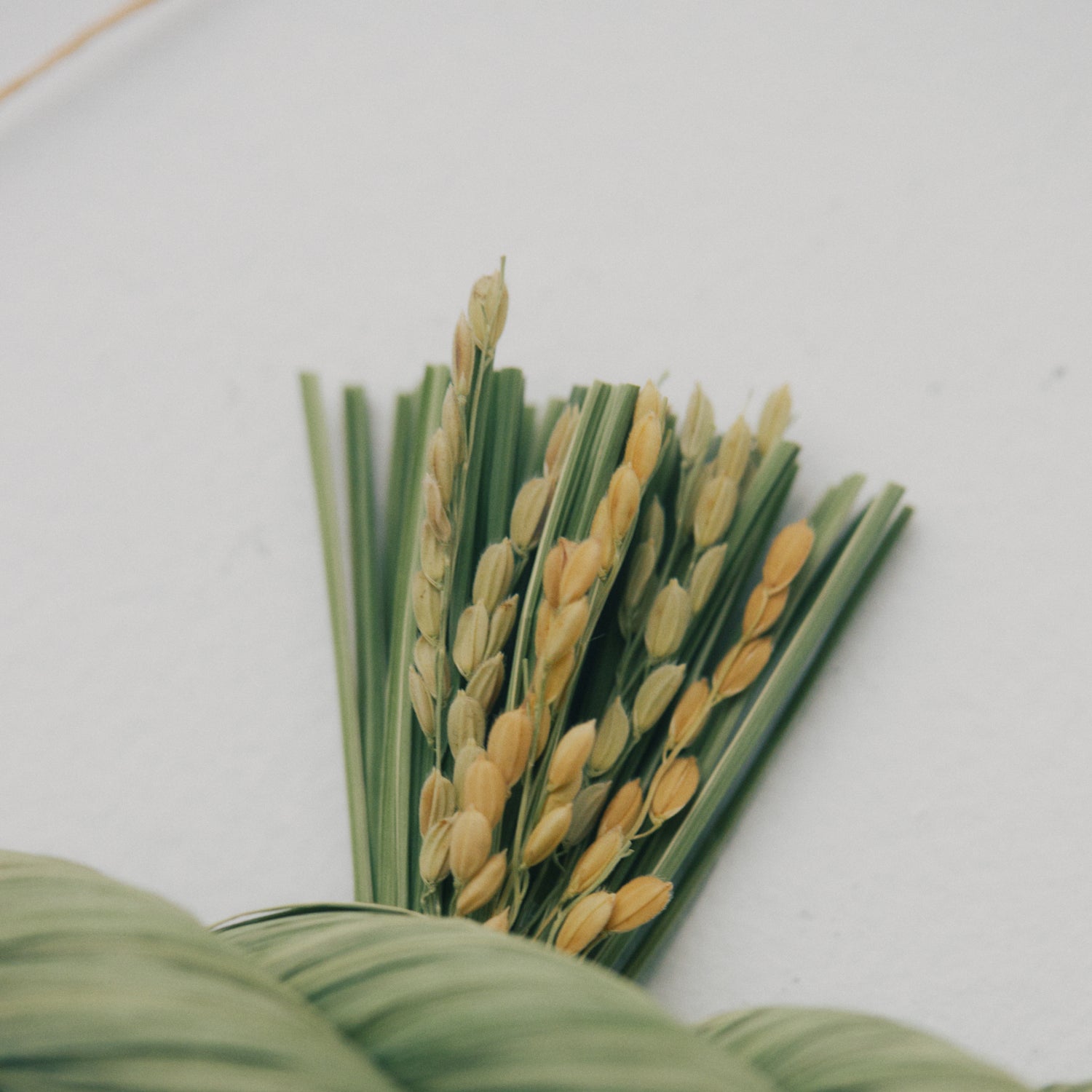 稲わら飾り【大黒・海老〆】