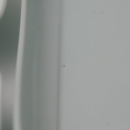 木瓜 （もっこう）角皿 土灰