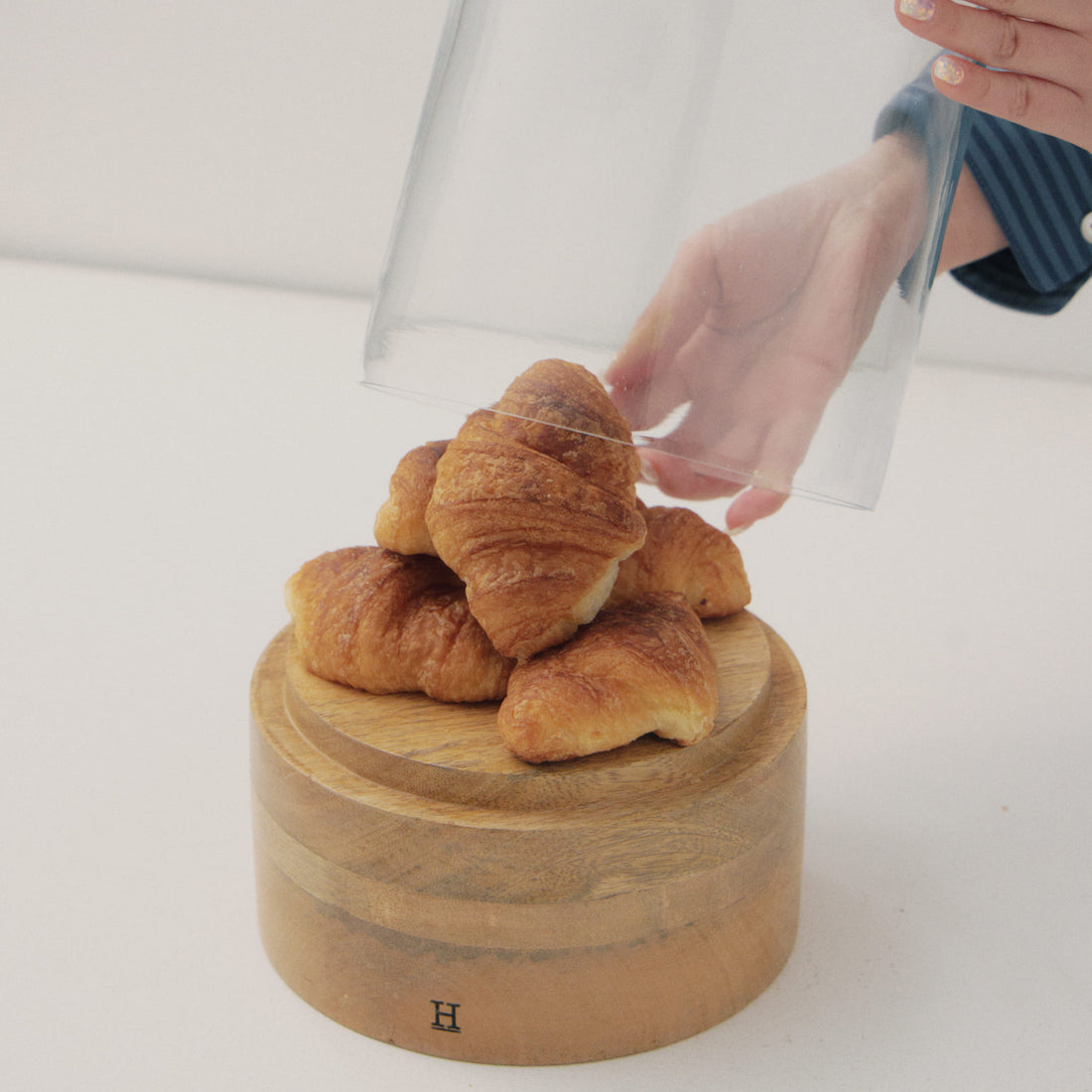 GLASS DOME｜ガラスドーム