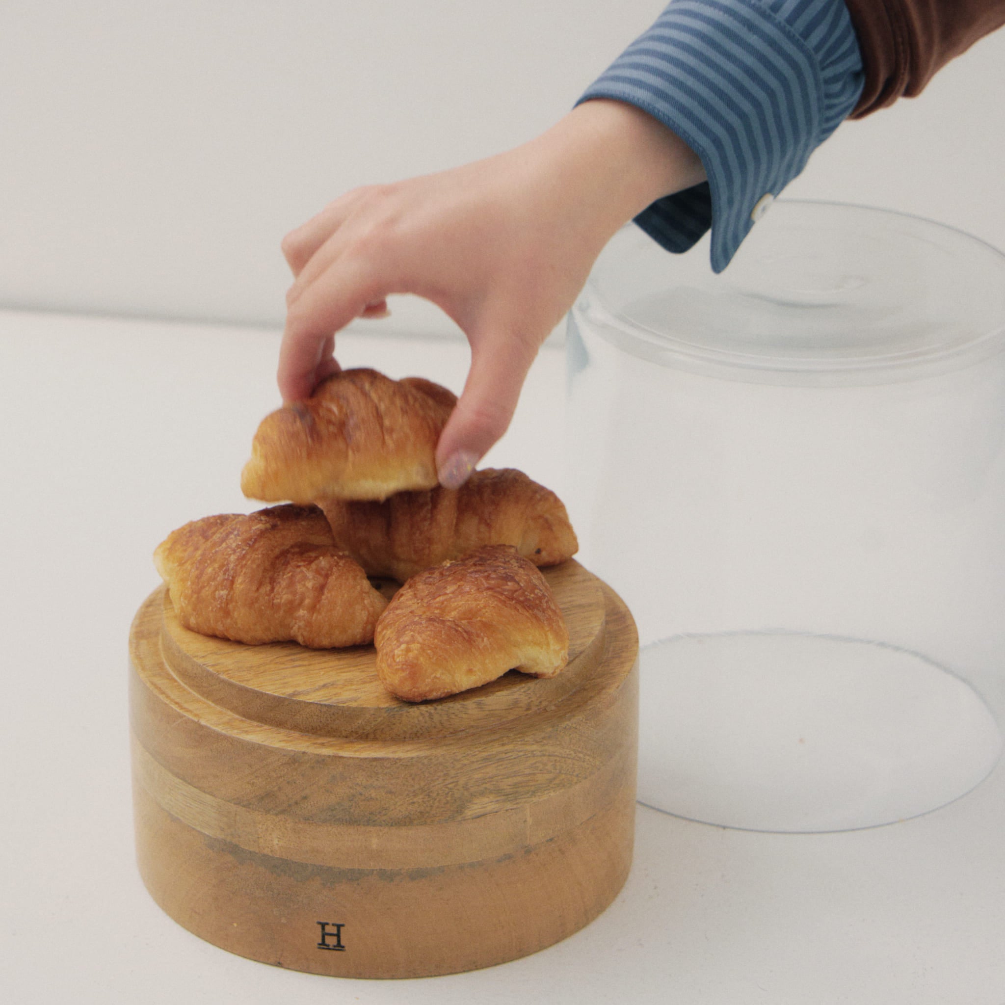 GLASS DOME｜ガラスドーム