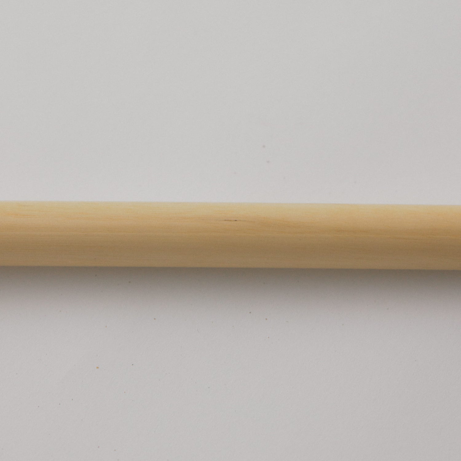 黒シダほうき ロング