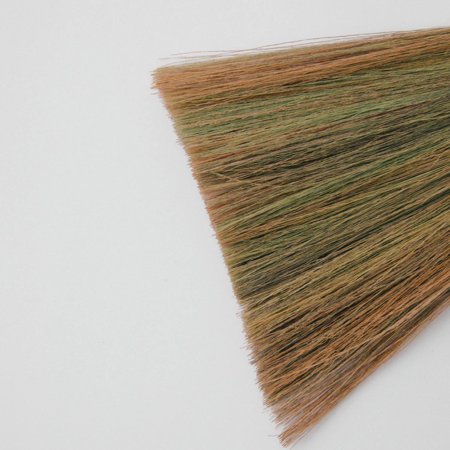 タイガーグラス手ぼうき