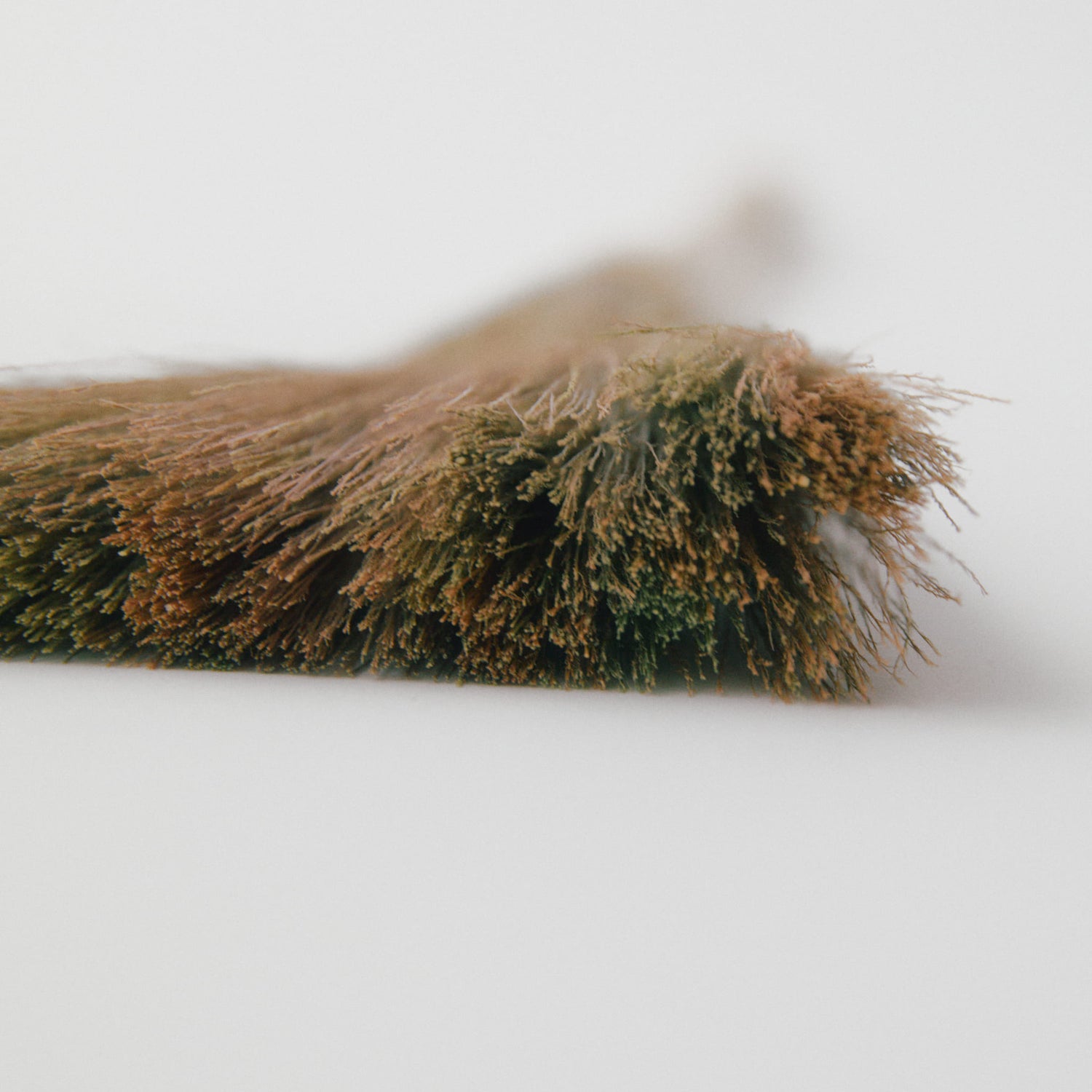 タイガーグラス手ぼうき