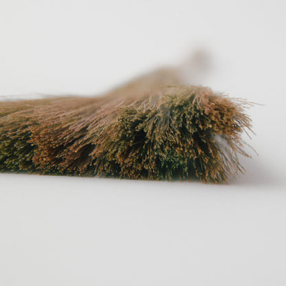 タイガーグラス手ぼうき