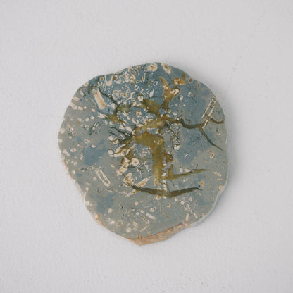 JASPER COASTER｜ジャスパー コースター