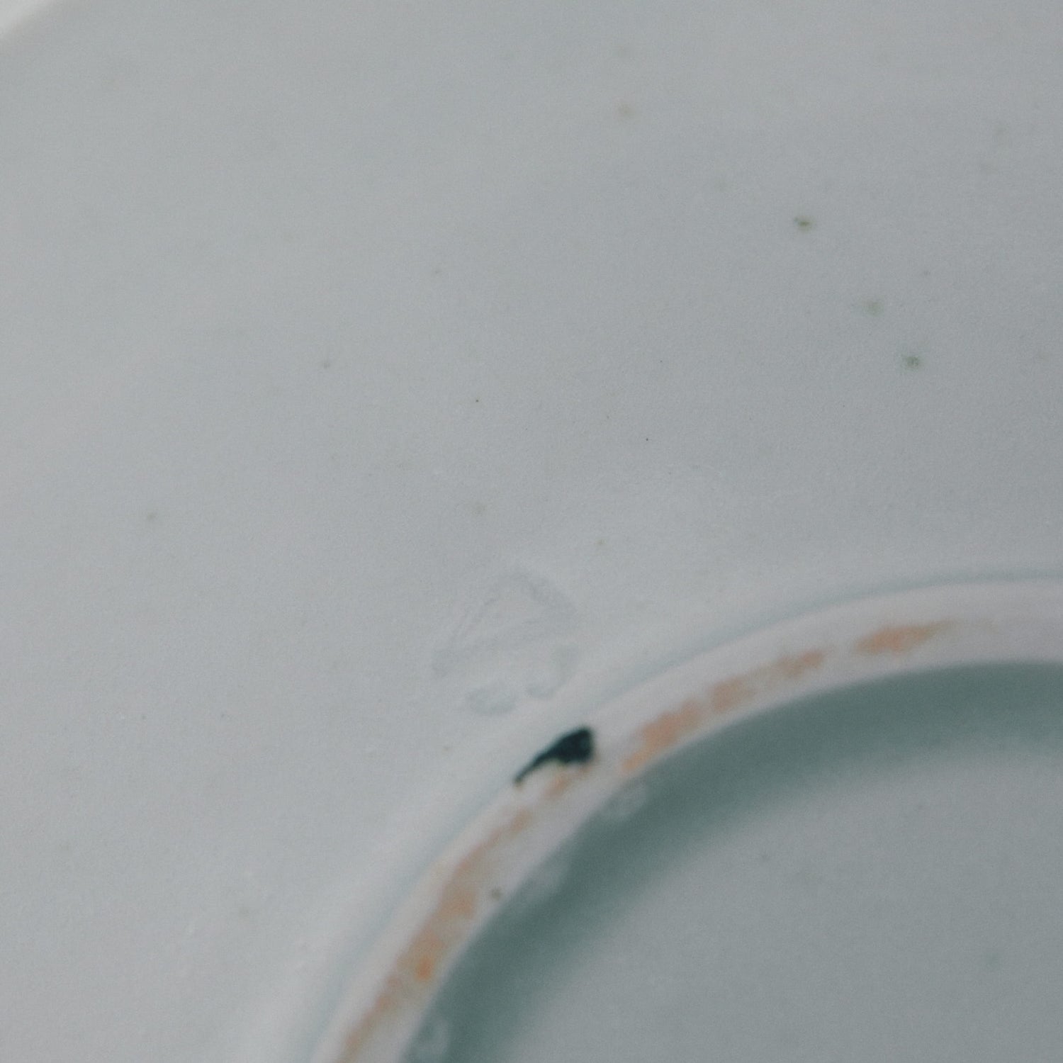 タナカシゲオ 白瓷輪花6寸皿