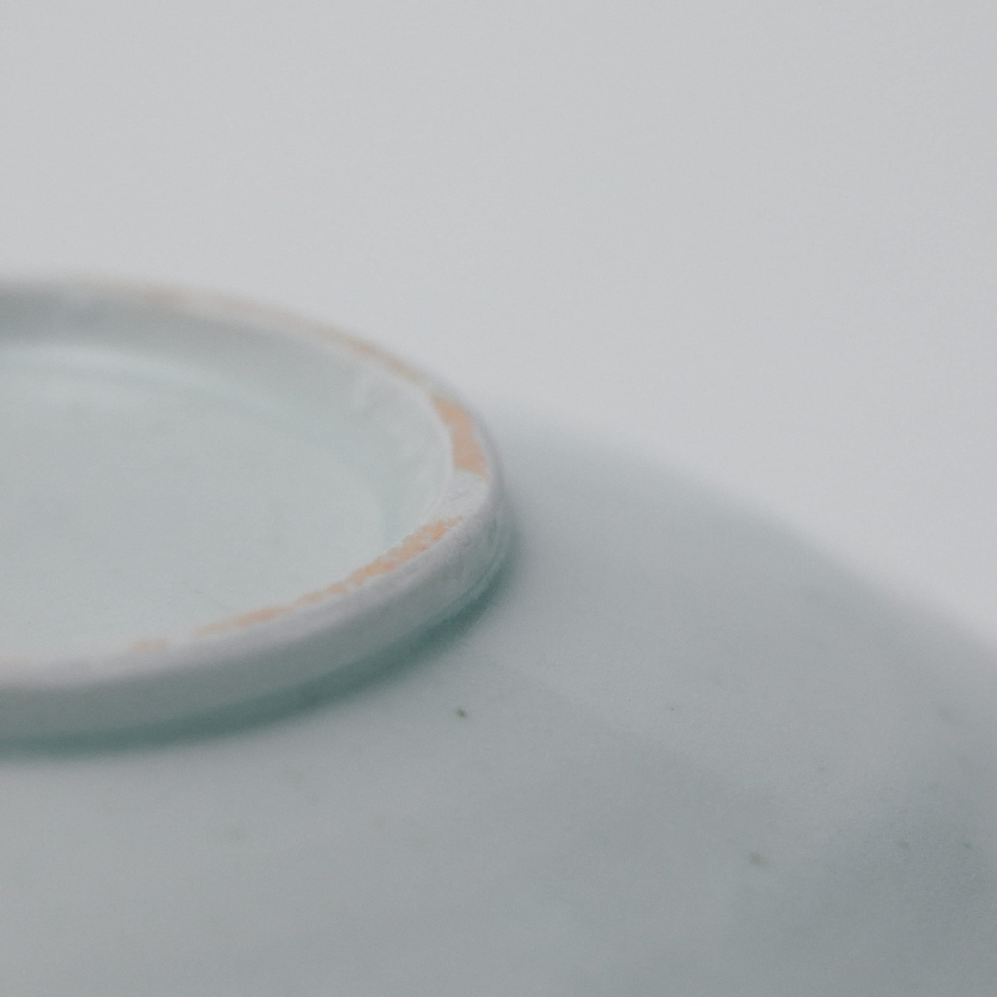 タナカシゲオ 白瓷輪花6寸皿