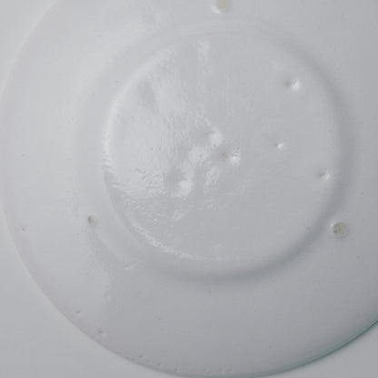 タナカシゲオ 阿蘭陀リム皿