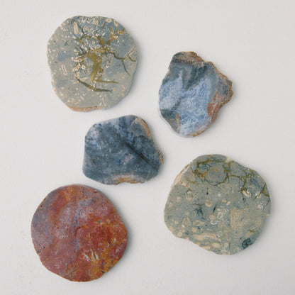 JASPER COASTER｜ジャスパー コースター