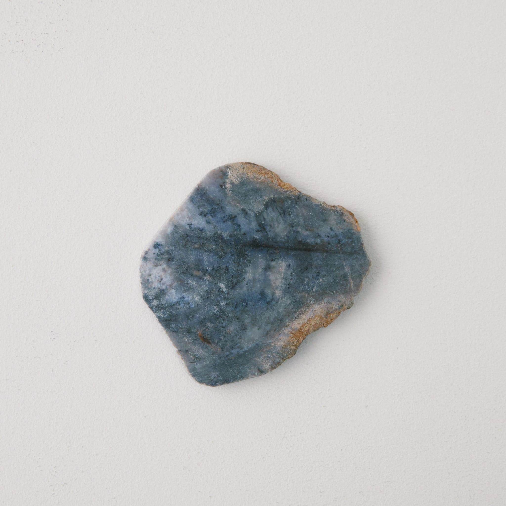 CORAL COASTER｜コーラル コースター