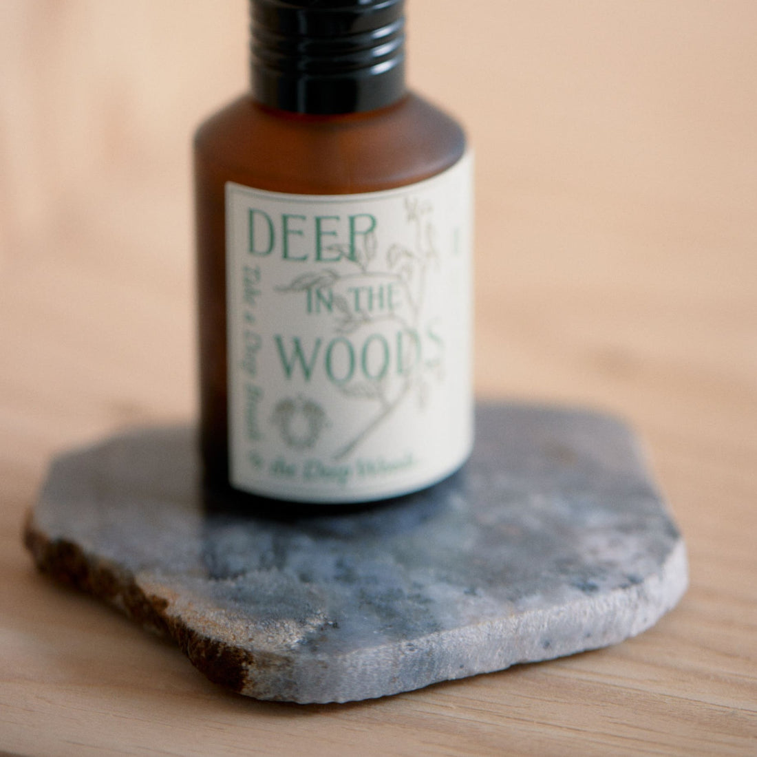 CORAL COASTER｜コーラル コースター