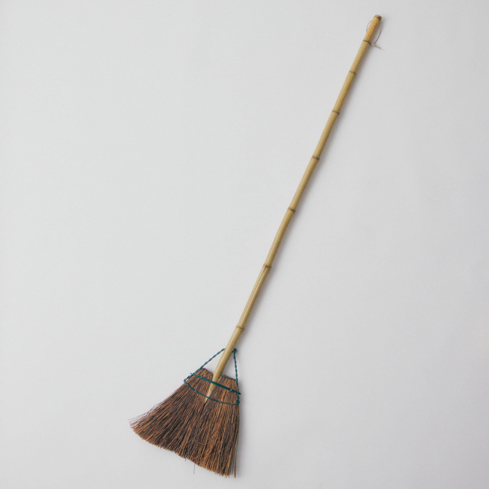 シダ庭ぼうき ロング