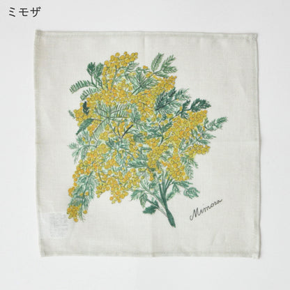 ミニハンカチ ISABELLE BOINOT