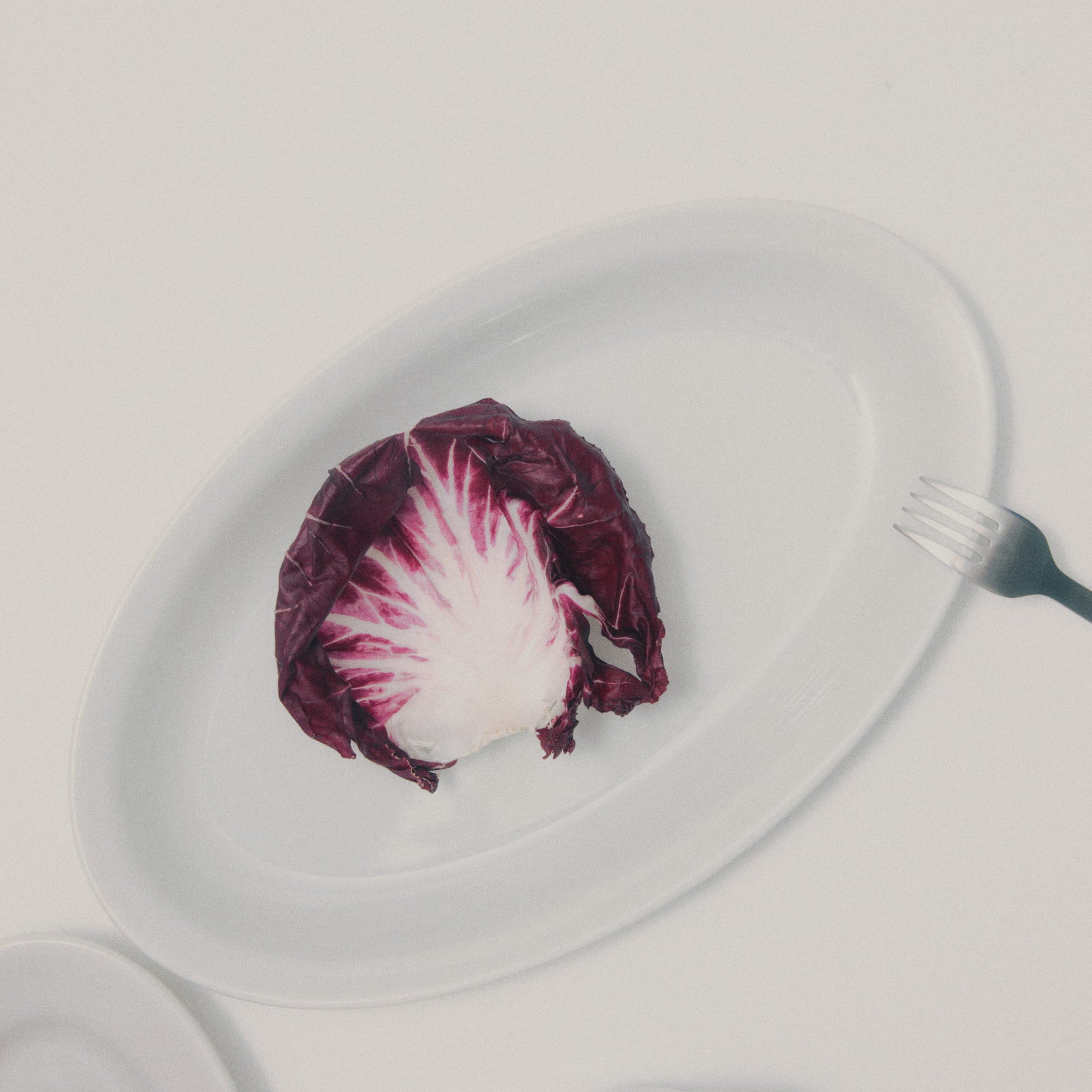 Saturnia Roma plain｜サタルニア ローマ プレーン　オーバルプレート