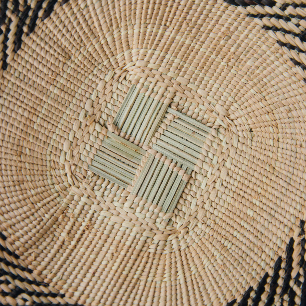 トンガサングエバスケット