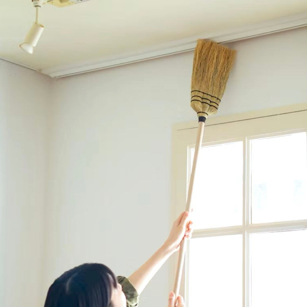 ソルガムロングホウキ