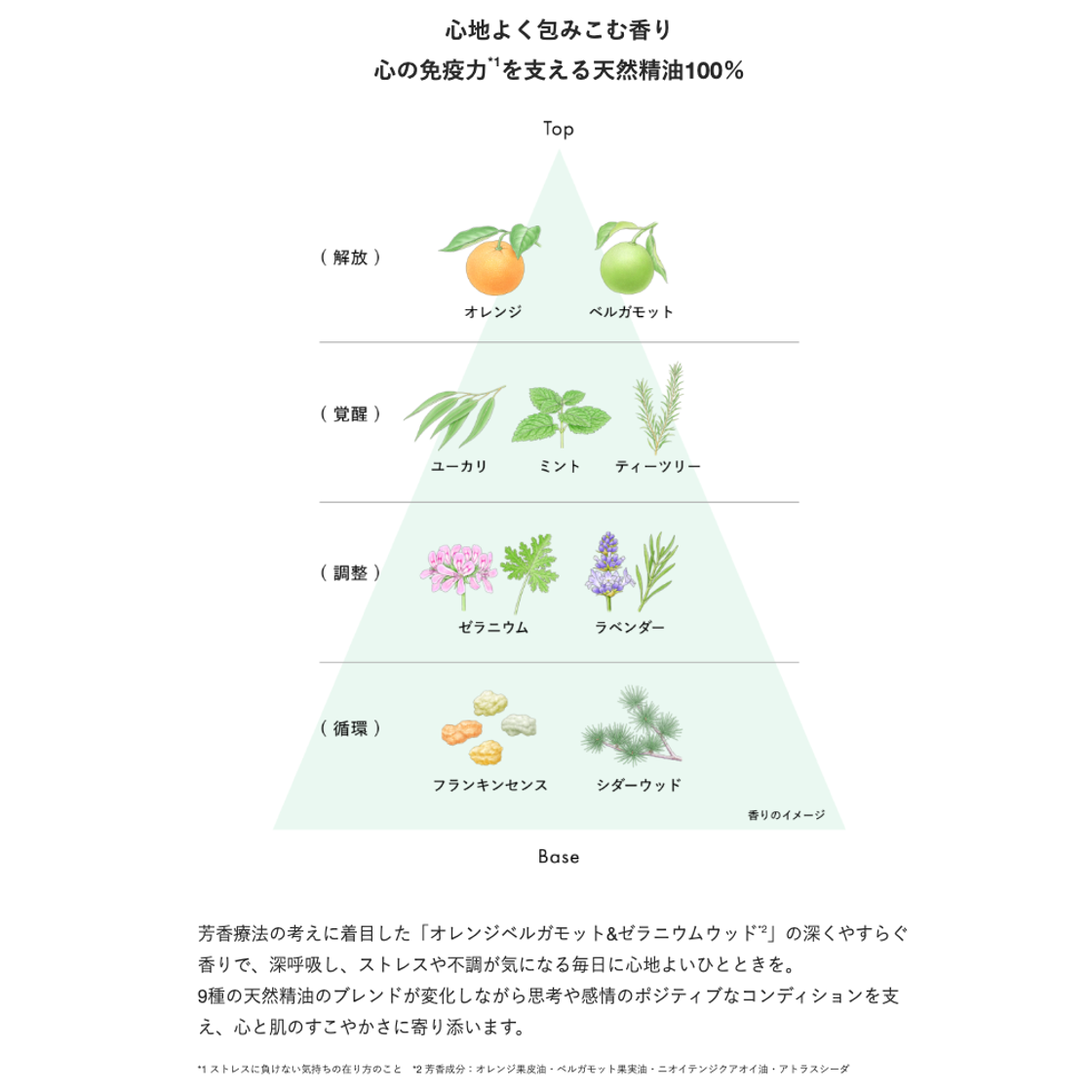 NEcCO リッチエマルジョン（クリーム状乳液）