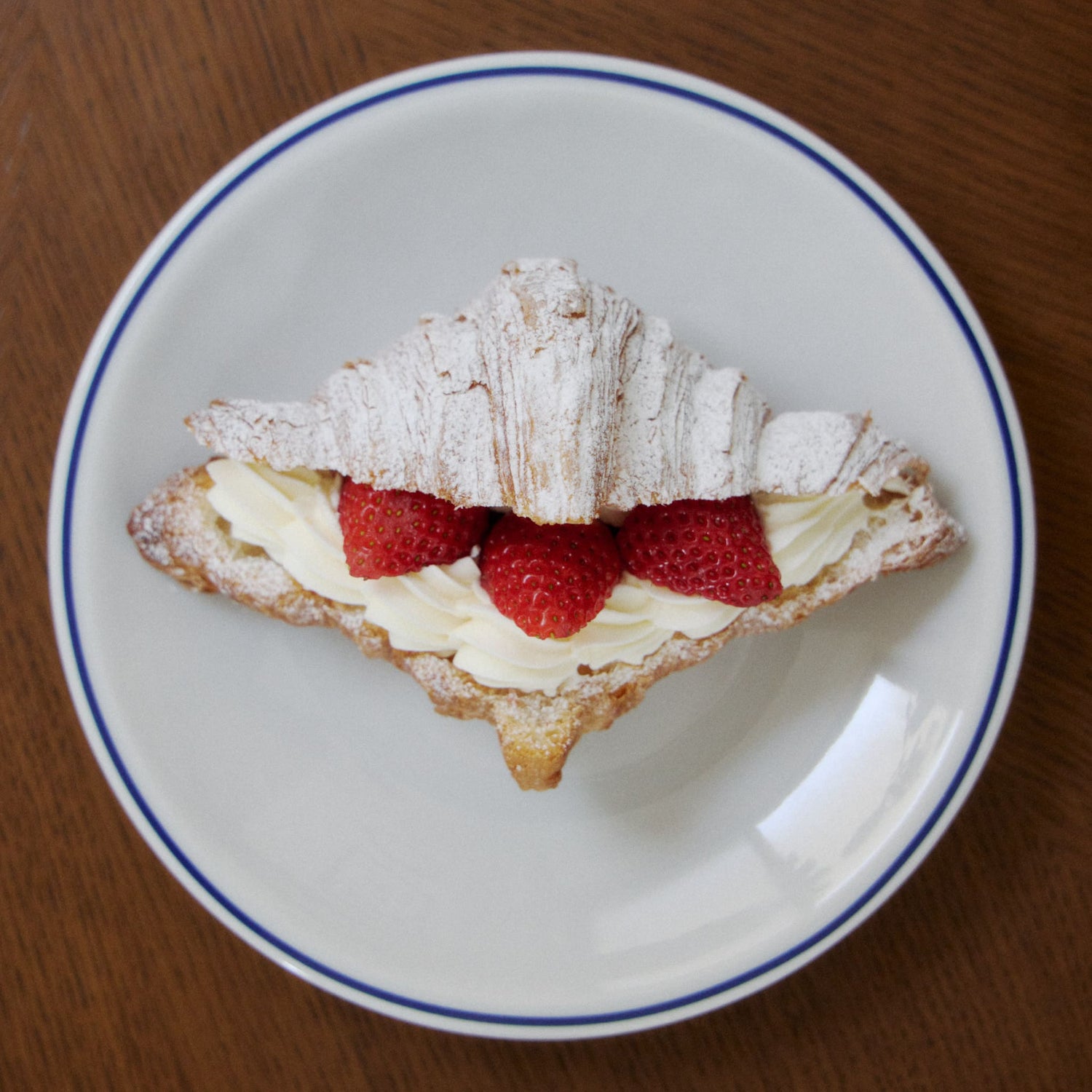 Saturnia Roma blueline｜サタルニア ローマ ブルーライン