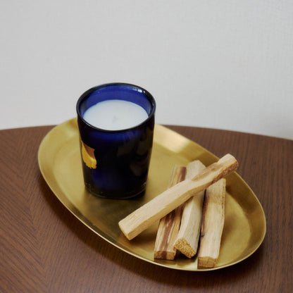 ブラストレイ 楕円形