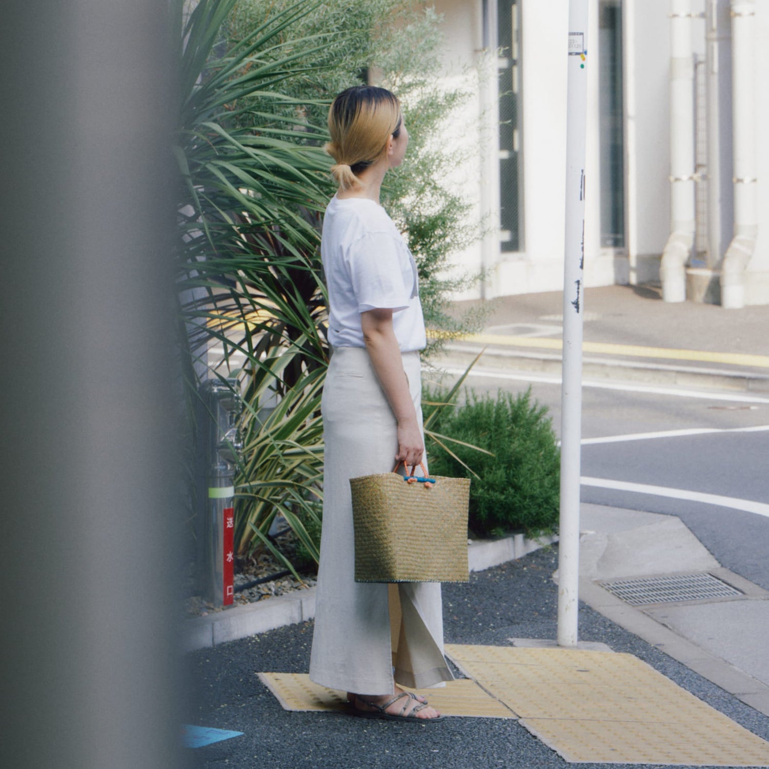 ペンジマラガシかご