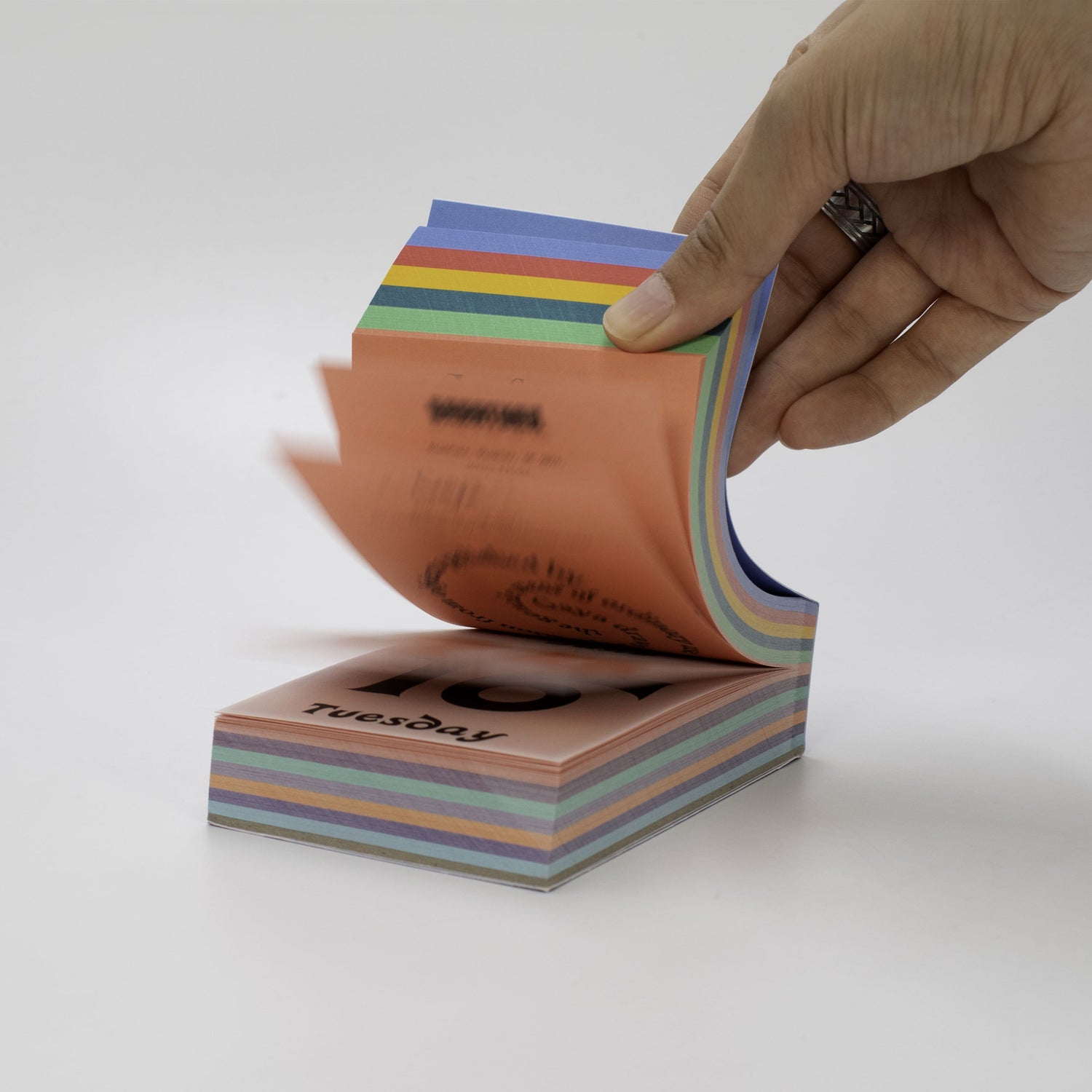 Typodarium 2026｜カレンダー