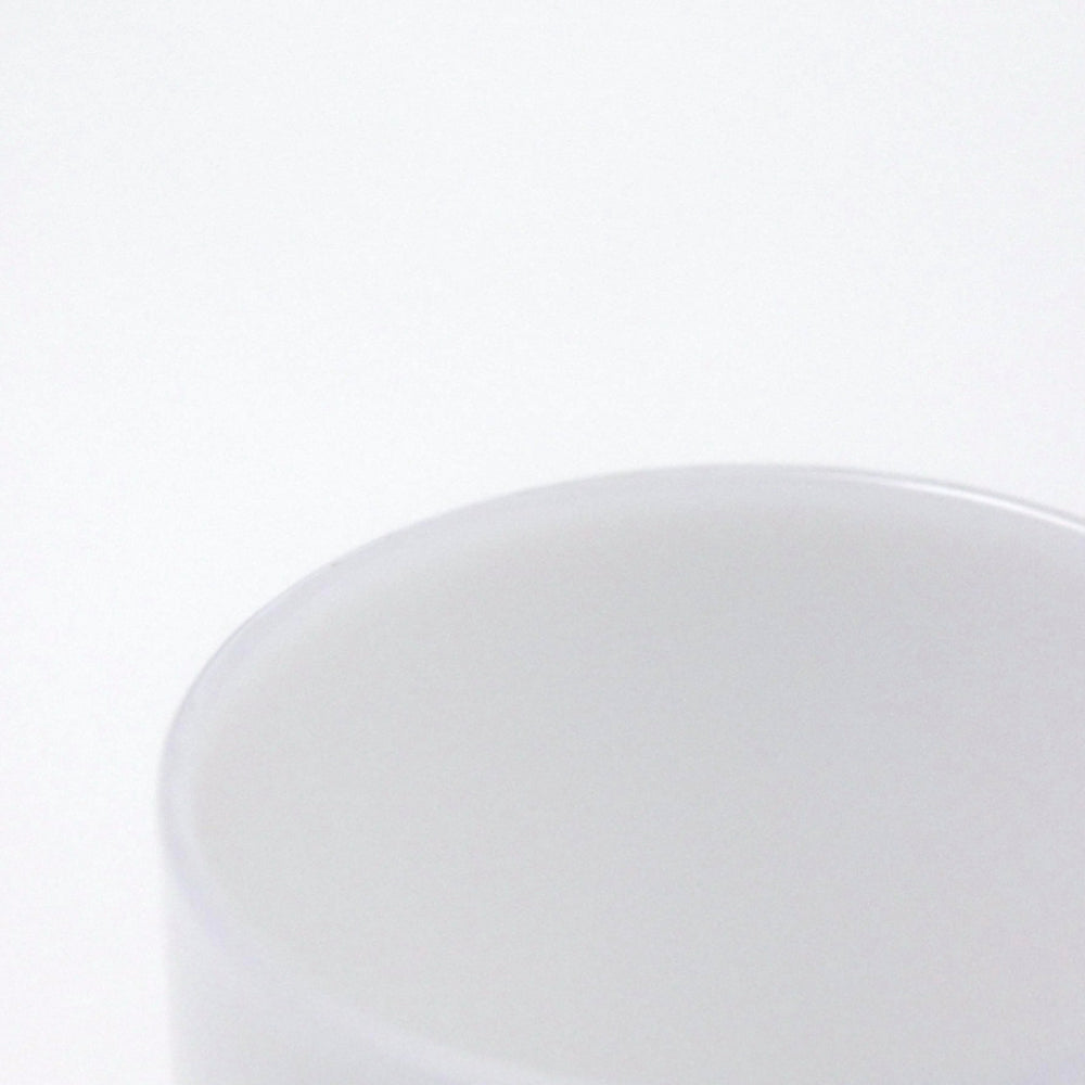 VISION GLASS（2個セット）