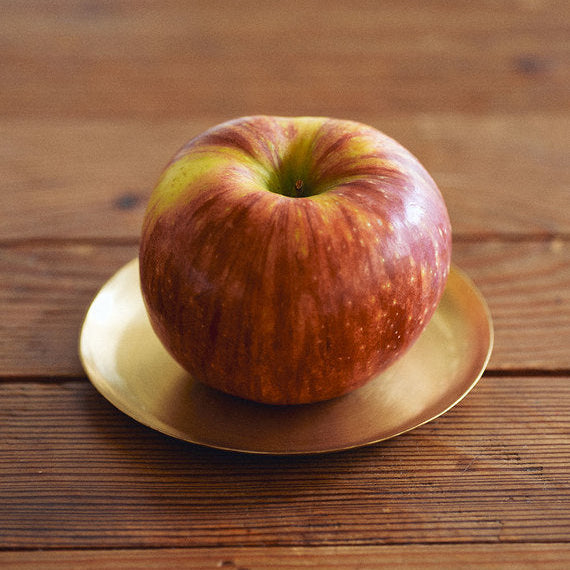 ブラスプレート 円形