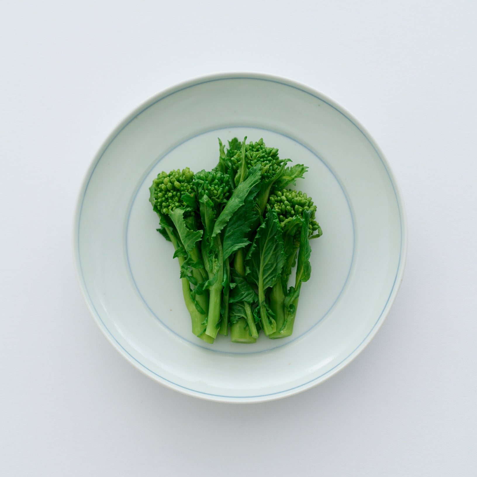 丸鏡 五寸｜呉須輪