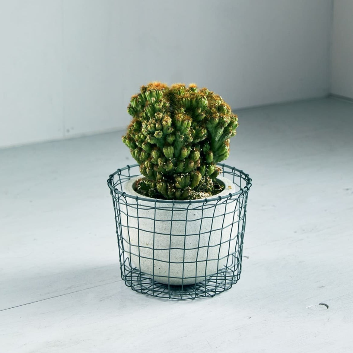 ワイヤーバスケット