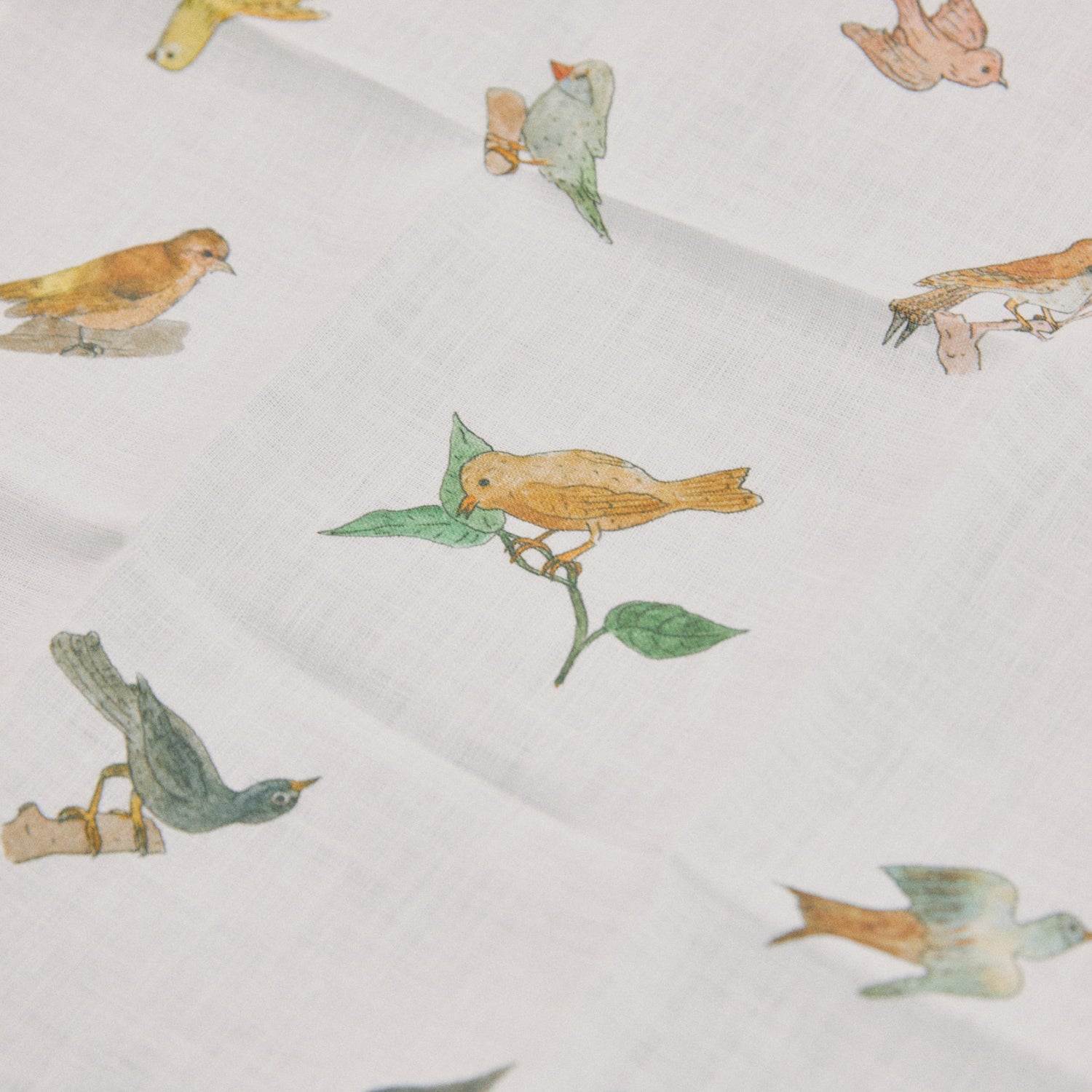 isabelle boinot 鳥のハンカチ