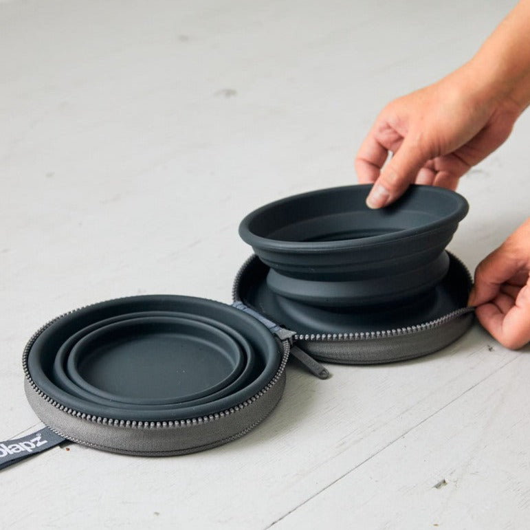 Collapsible Twin Dog Bowls
